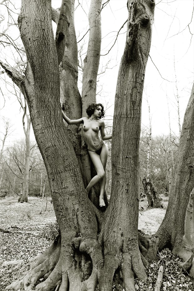 %22If you go down to the woods today...%22 Artistic Nude Photo by Photographer Gary Latham